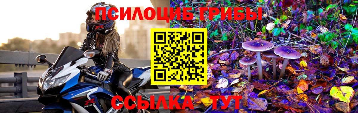 Псилоцибиновые грибы Magic Shrooms Тамбов